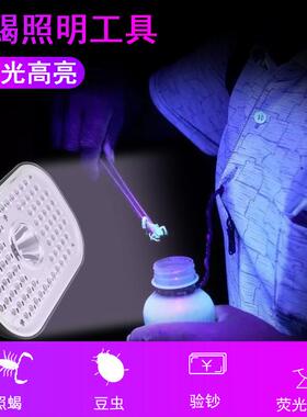 中星蝎子灯泰戴式照蝎超3316A亮紫灯手提头戴两用照蝎灯光豆头虫