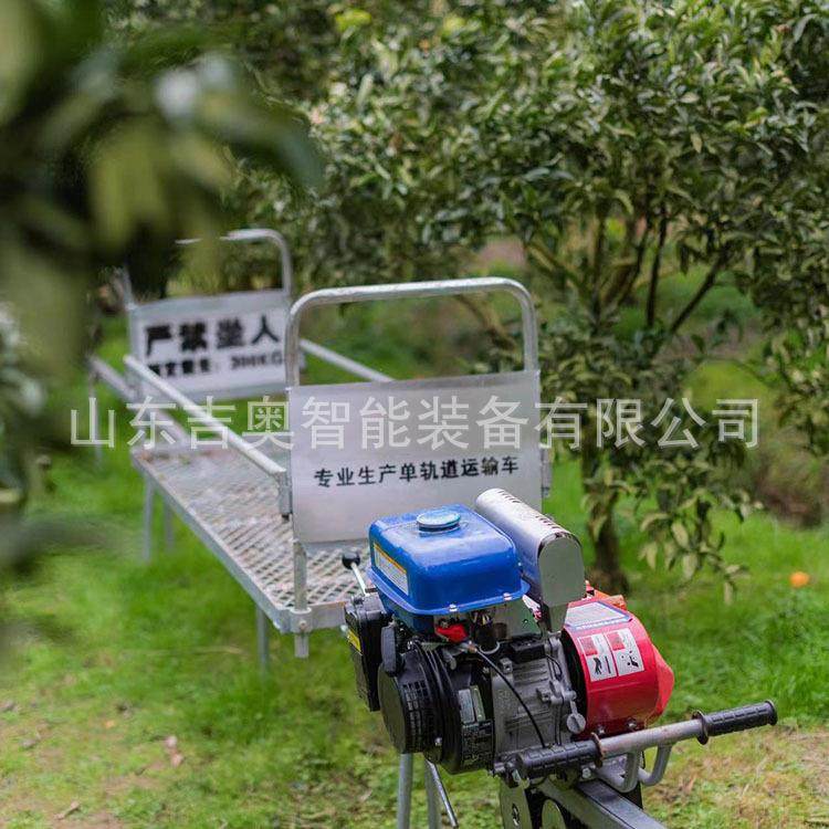 全农用331果园单运输车轨齿山地安爬坡轨道车条搬运机,农机/农具/农膜,其它农用工具,淘宝优惠券,粉丝福利购,淘宝优惠卷