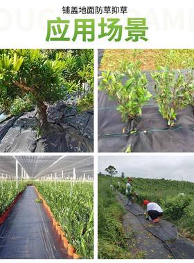 防草黑布农用果园园色除草白色抑草布SAE布透气渗水绿色艺防草地