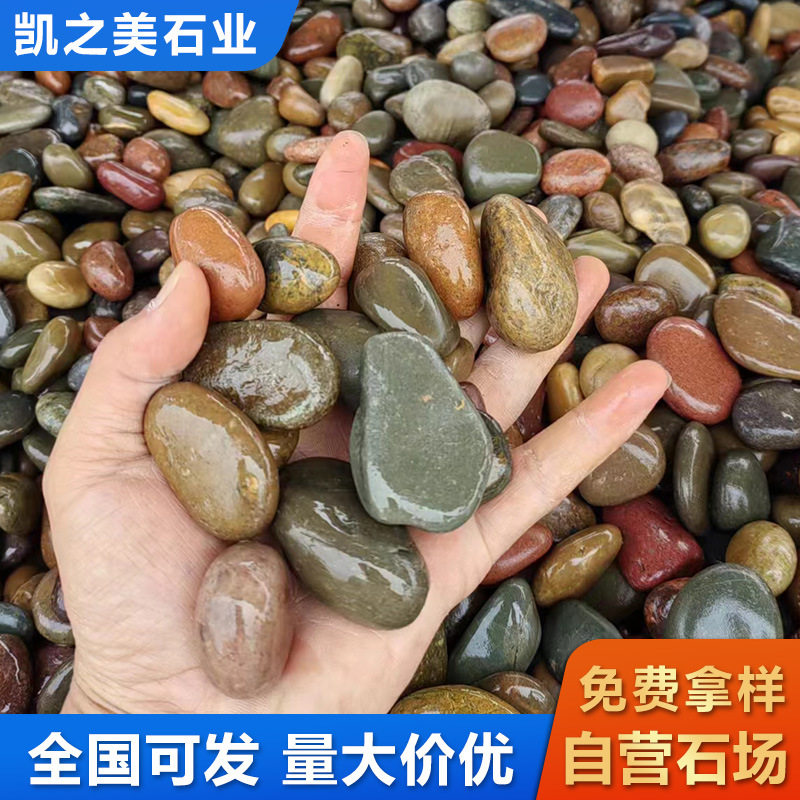 户外庭院鹅卵石造景铺地天然五彩石工程铺路景区装饰彩色鹅软石头