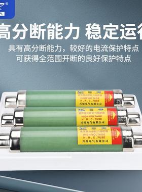 1KV高压限流熔断器RNT-12K熔V10A200AXRNT-10/X40A50A63A80A高压