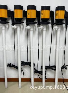 上海克-誉HD耐酸碱剂电动抽液泵HD-E+2VPVDF-120溶3930HP电动插桶