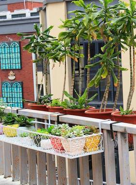 谋生花子阳花架挂式31772花盆架铁艺花盆架架置物挂架台栏杆悬挂