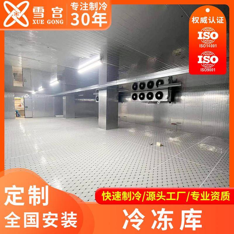 冷库全套设备冷藏保鲜冷冻大小库型水果蔬菜保厂鲜家库制LJD冷机
