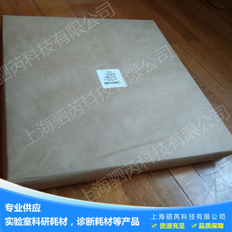 GEWhatman新生儿筛查样本纸
