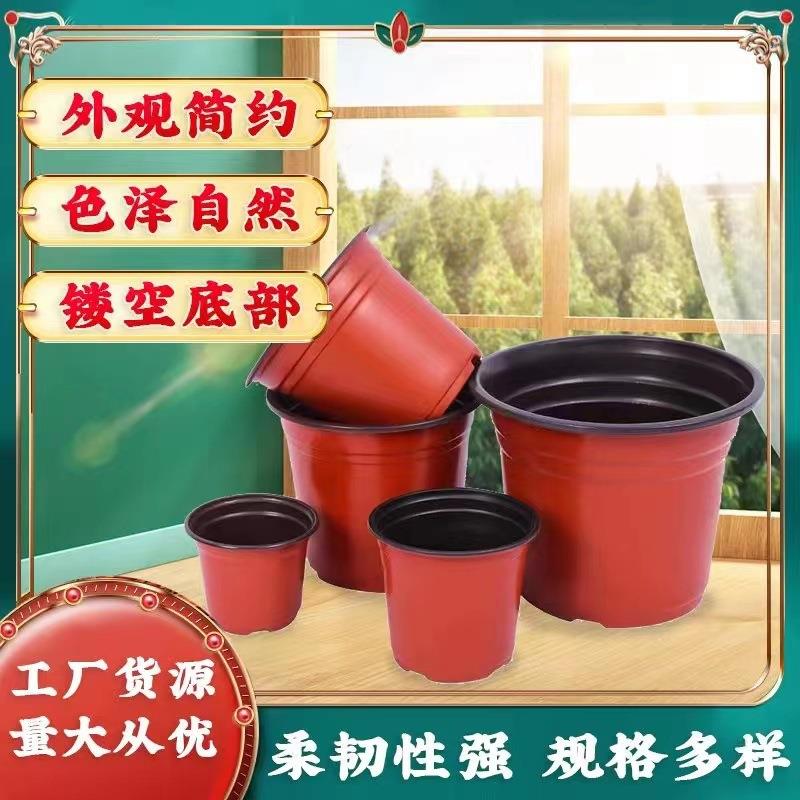 双盆加厚大号LGLfumJ9多盆育一次性简易花肉盆塑料营养钵杯色苗