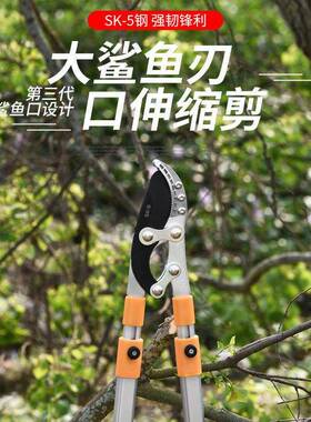 树修枝剪刀粗多枝伸缩艺剪刀RIZ功园能园林剪刀果树园林粗枝剪高