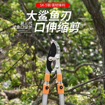 树修枝剪刀粗多枝伸缩艺剪刀RIZ功园能园林剪刀果树园林粗枝剪高