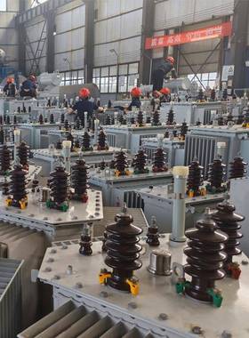10KV油浸式变变压S13s13-M-315KA铜400KV器A高压S13-800Vkva电力