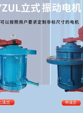 YZUL-754铜/7.-5KW立VFS式振动电机抛光机3国标全三相80v