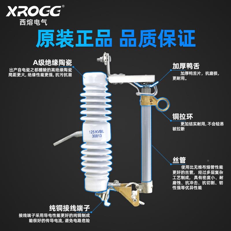 西熔跌落式熔断器10KV保险W2-5/R100-2010KDYA户1外高压令克开关