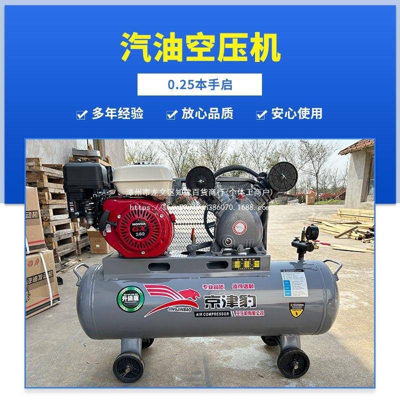 汽油空压机打气泵潜充黄油喷默认项动漆修车补胎气移气机车载式水
