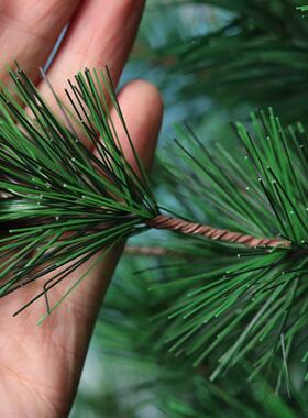 厂家直自销混加密分节松针P+VC动圣诞树圣合诞节SYCT57装饰品