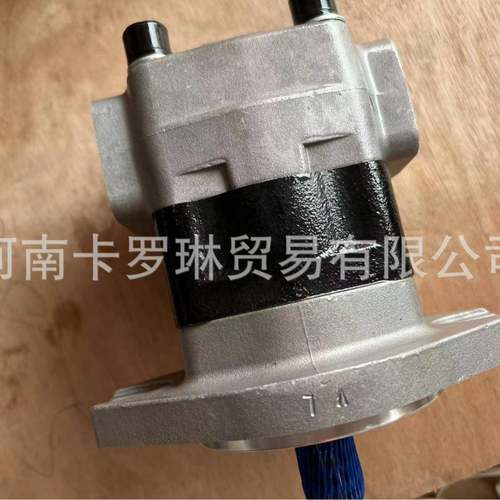 SGP1A25F2H9-L288CSGP1A25A2H9-R003C适用于轮挖液压齿轮泵