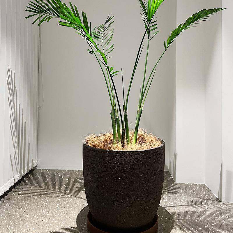 组包收底圆口邮特大号复古紫砂花盆合气透户外墅陶土高陶罐别庭院