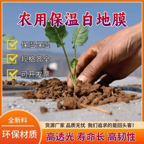 农用白色膜地菜专HSL用植保温加厚小种拱棚塑料种薄膜工程膜养护