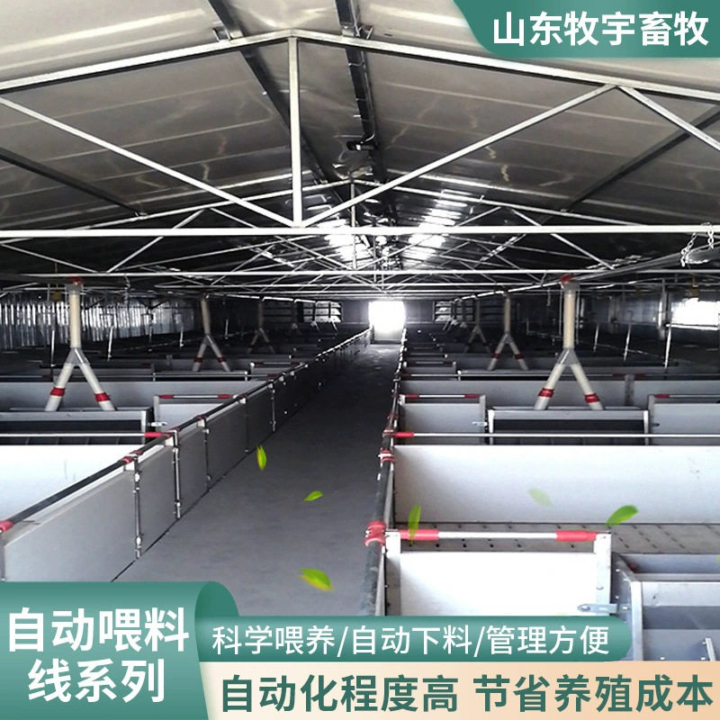 全自动养猪转角输送喂料系统