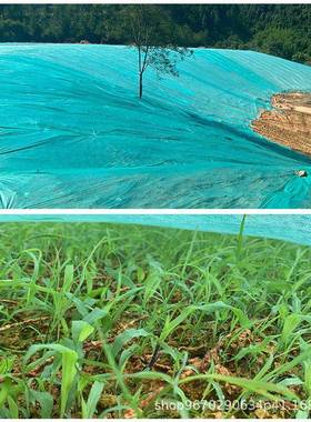 16-18VRZ克绿透直化无纺布防林尘气保湿护坡园工地盖草绿色无纺布