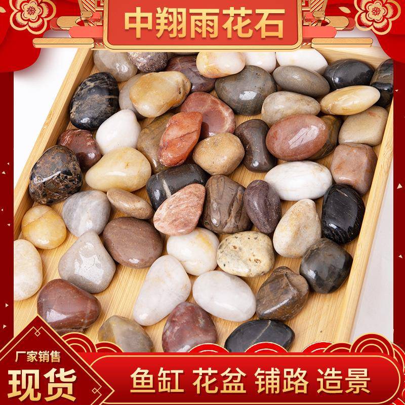 五彩抛光头鹅卵石鱼造景庭院石缸工程铺路园林景102观花彩色雨石