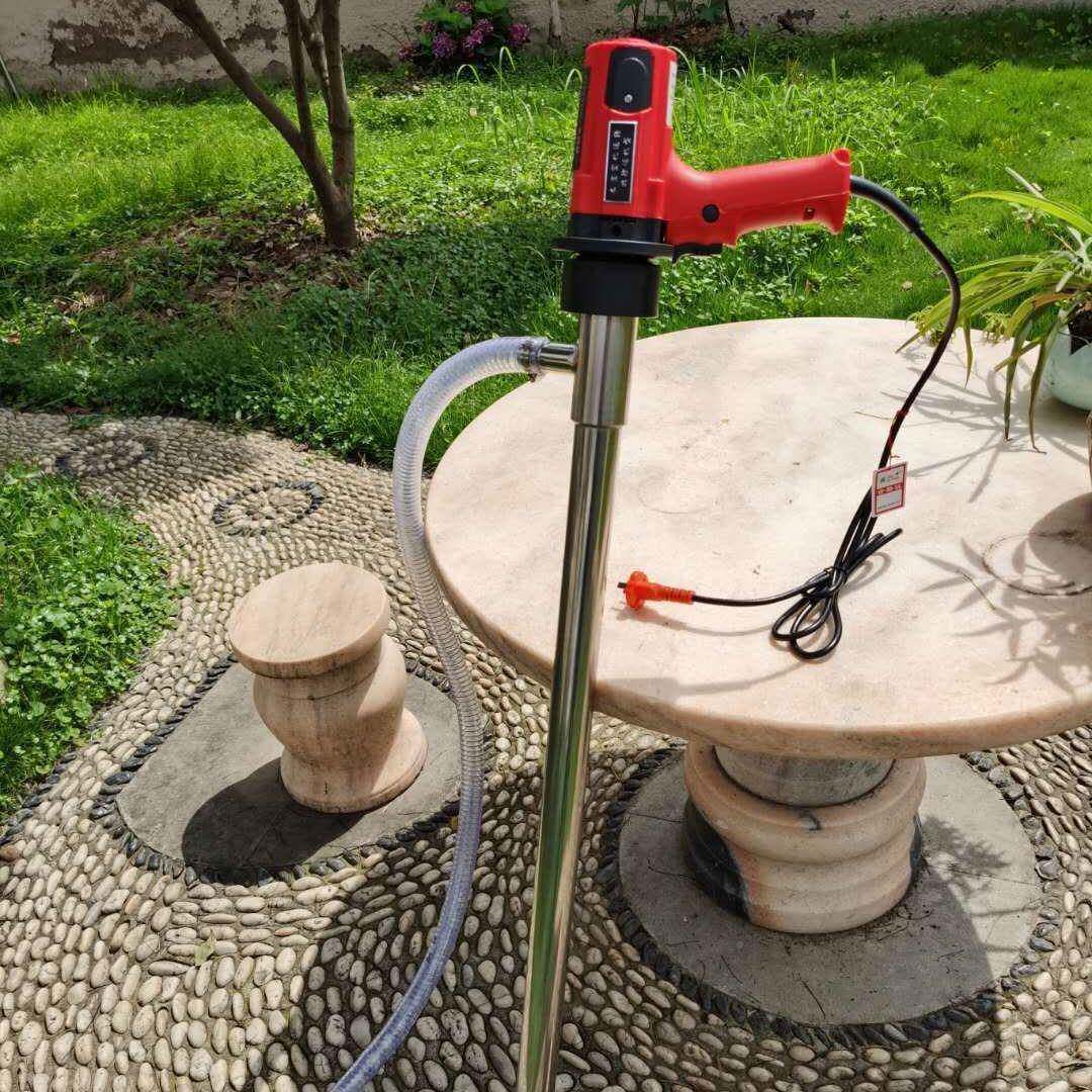 油抽子2泵2V电动抽油泵牧格069/720W调速油桶柴油RWF泵手提式油D