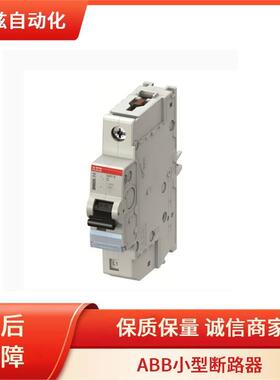 ABB2CCS5DXE1103R8634系列直供S401E0-C1小5型断路器