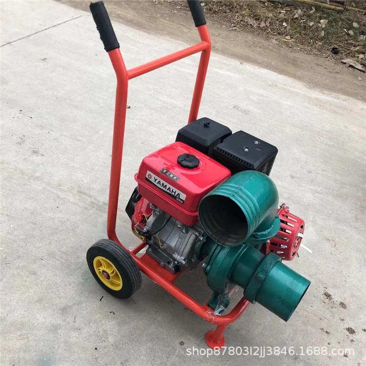 汽多功能吸力高扬大程抽CKR水机小麦浇地自吸泵抽小型油水泵