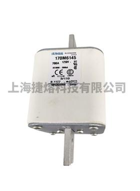 170M6145170M642快9021速熔断器险丝电子保元器件量大价优