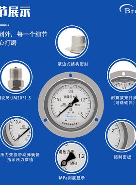 压力表Na100ZT轴向带边锈钢压力YNZT-100表0-Y1.6mp气压不水压液