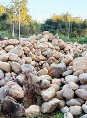 厂直供河卵石五鹅彩卵石电园艺造景铺路造景厂滤层鹅120101卵家石