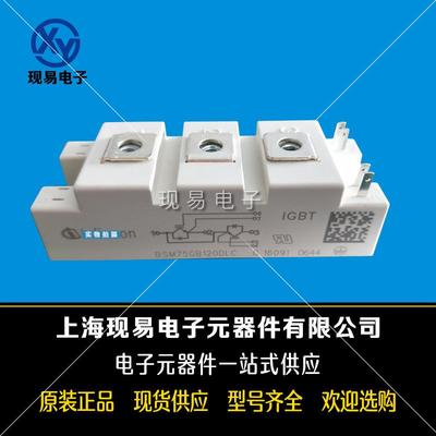 BSM150GB170DLCBSM150GB170DN2BSM200GB170DLC/170DN2功率IGBT