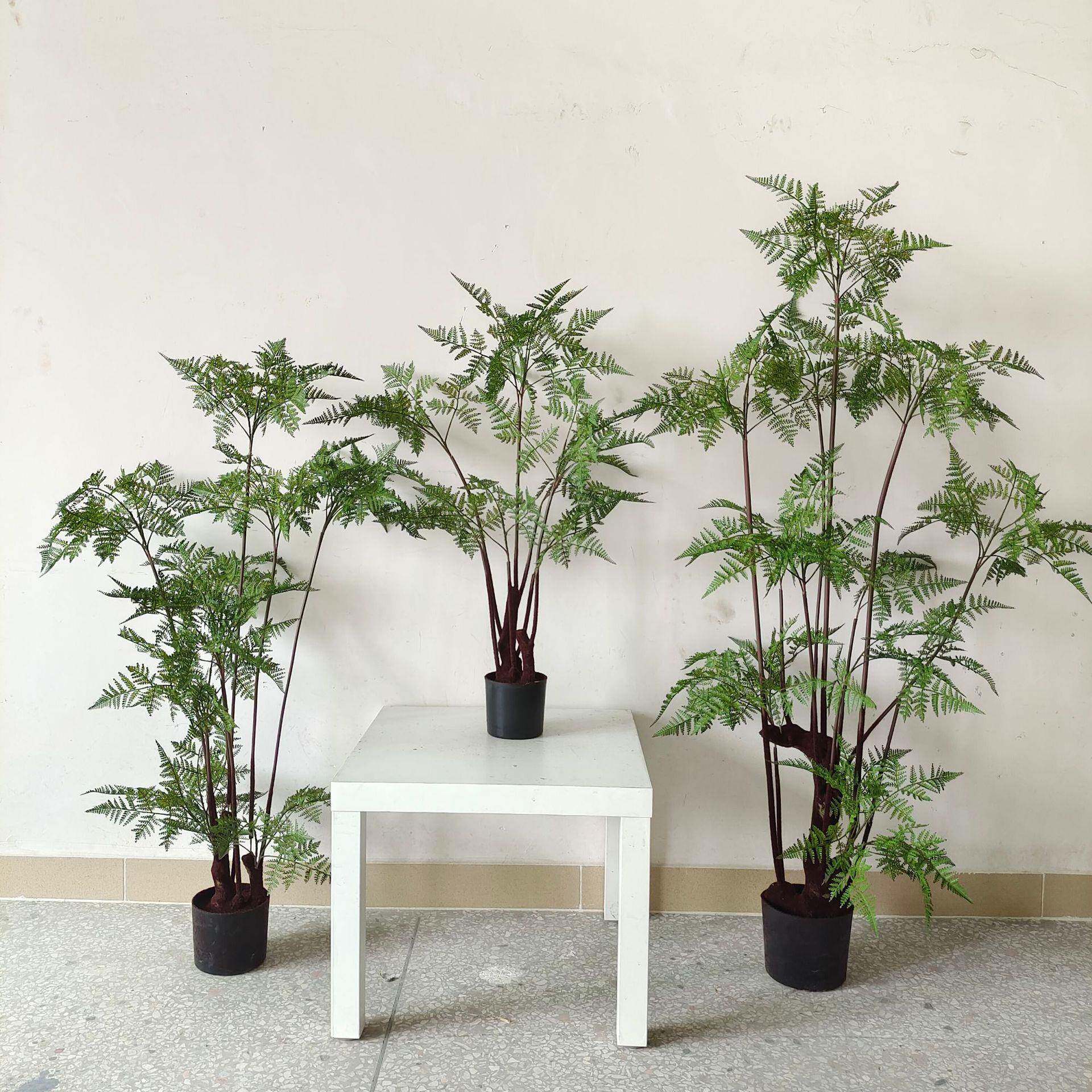 常青仿真绿植盆栽橱窗软装家居落地饰品设计造景仿真铁线厥文竹