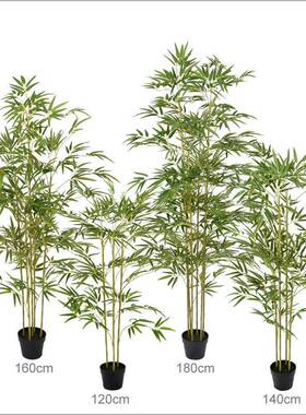 加密仿真竹子盆绿栽胶杆塑细中水毛竹式禅意假竹子客厅DD231201装