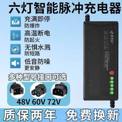 适用新蕾48V60V20Ah72V电动两轮车充电器石墨烯铅酸电池