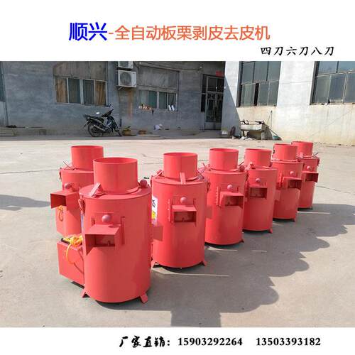 顺兴板栗去皮机工作原理小型电动板栗剥仁机剥壳机扒皮机