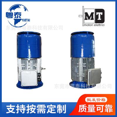 意大利原装进口MT交流刹车电机TF63B4~132MB4MT电磁制动马达