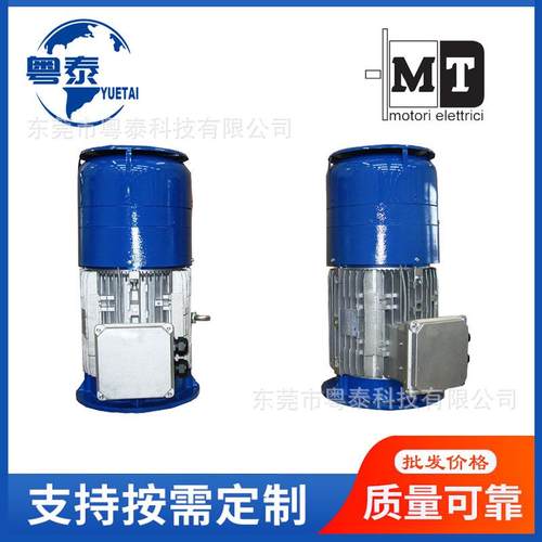 意大利原装进口MT交流刹车电机TF63B4~132MB4MT电磁制动马达