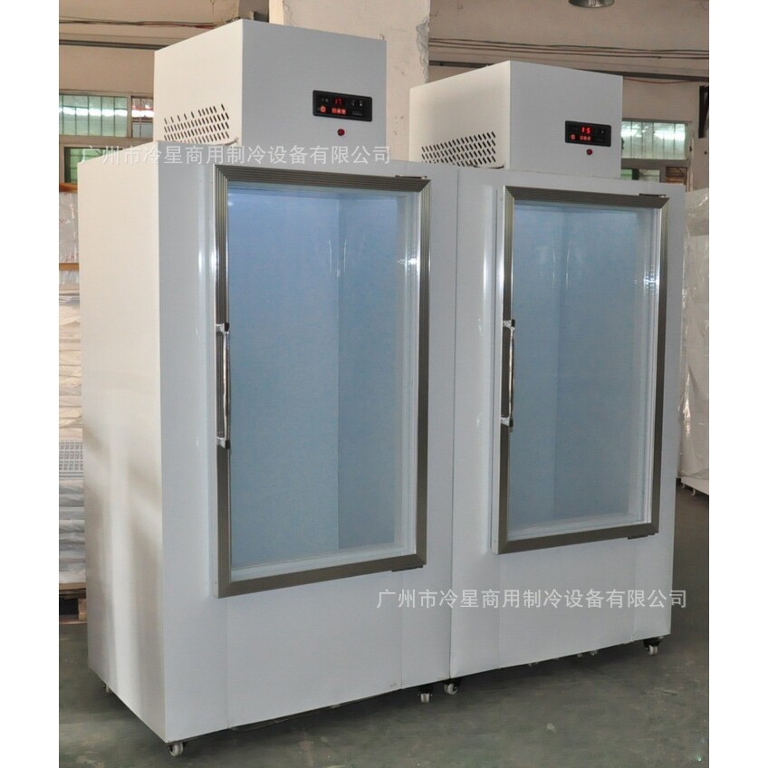冰块储存冷柜冰棍直冷冷冻柜风冷冰箱110V60HZ方冰保温展示冷冻柜