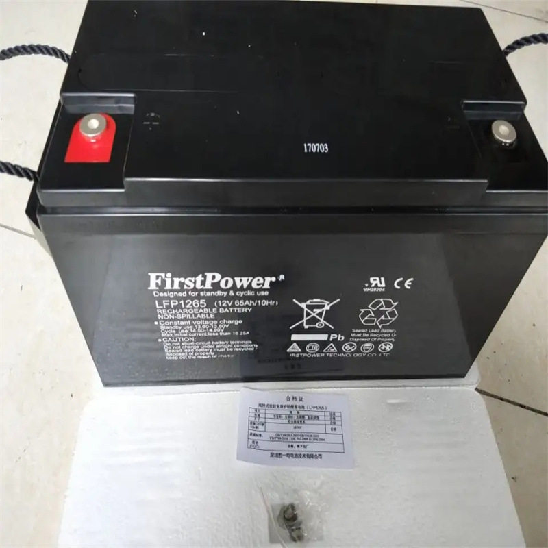 深圳FirstPower蓄电池LFP1265/12V65AhUPS不间断电源一电电源