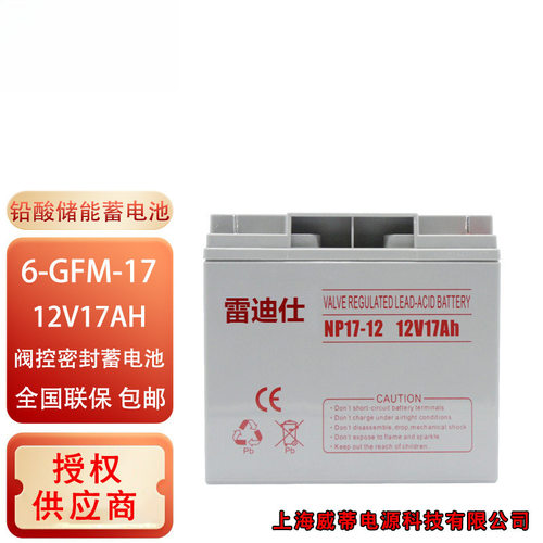 雷迪仕UPS电源蓄电池6-GFM-17/12V17AH24AH38AH65AH100AH工业电池
