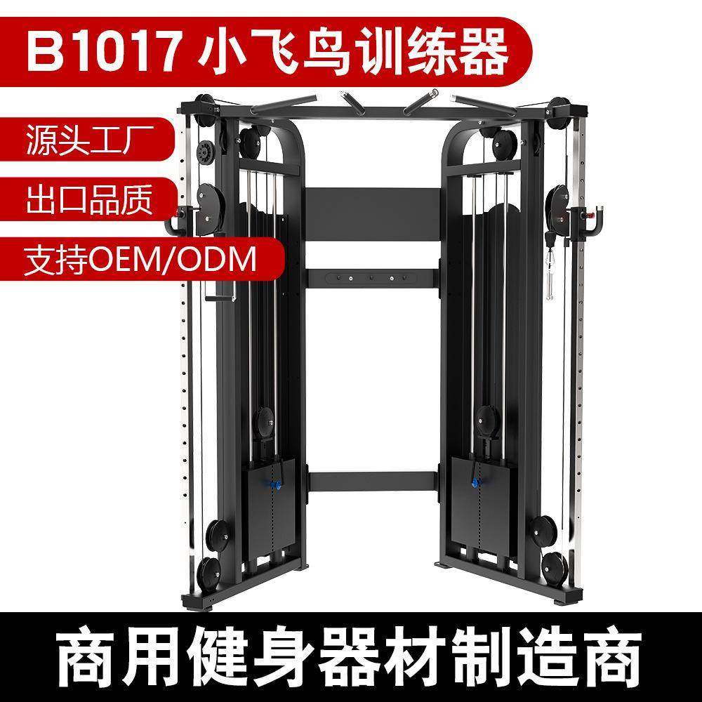 健身器材多功能力量器械龙门架健身房双臂机小飞鸟综合训练器可调