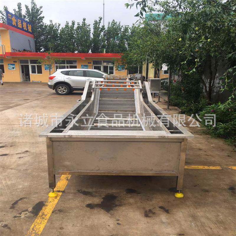 口味虾全自动暂养清洗蒸煮冰水冷却线不锈钢龙虾加工成套设备