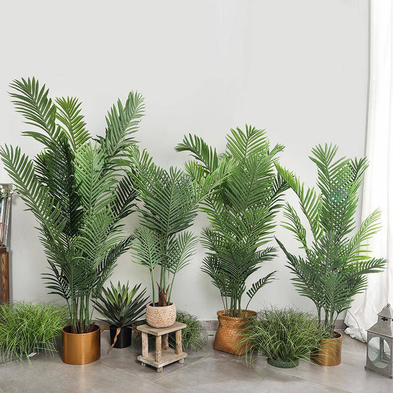 北欧绿植大型盆栽树室内家居布置绿色散尾葵盆景