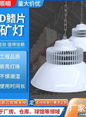 鳍片led工矿灯80W100w150W200W车间仓库照明吊灯体育馆灯工矿灯