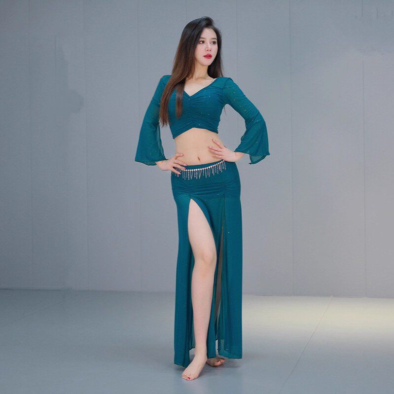 2025秋季新款肚皮舞练功服套装东方舞印度舞蹈表演服网纱服装