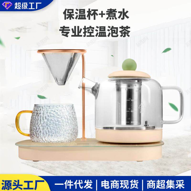 煮茶器家用多功能小型办公室养生壶组合套装密孔过滤多用途