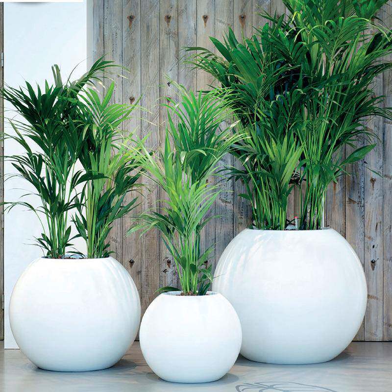 户外圆形玻璃钢花盆大型商业街区广场景观花钵绿化花箱绿植