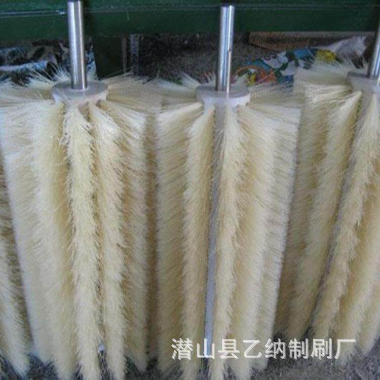电子设备除尘清洁刷子玻璃果蔬清洗机毛刷辊异形毛刷