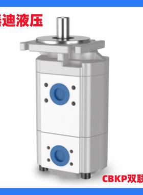 CBKP80/63-BF双联齿轮油泵液压泵CBKP高压齿轮泵