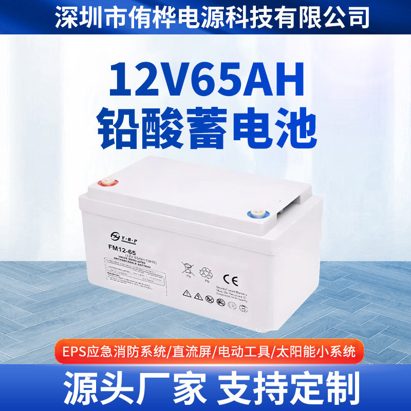 厂家直供12V65AH直流屏专用免维护铅酸蓄电池太阳能专用电池电瓶