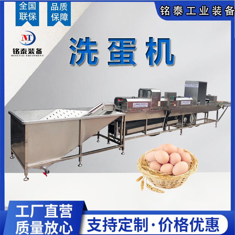全自动洗蛋机山鸡蛋清洗风干流水线禽蛋加工清洗消毒设备